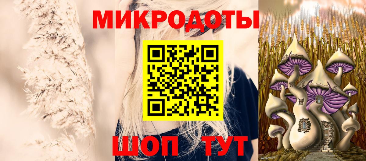 Галлюциногенные грибы Psilocybe Избербаш